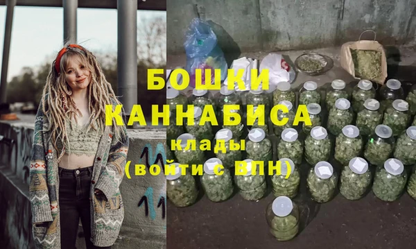 бошки Бронницы